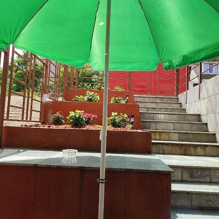 Garsoniera Alex Apartment Cluj Napoca Bagian luar foto