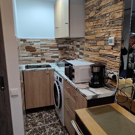 Garsoniera Alex Apartment Cluj Napoca Bagian luar foto