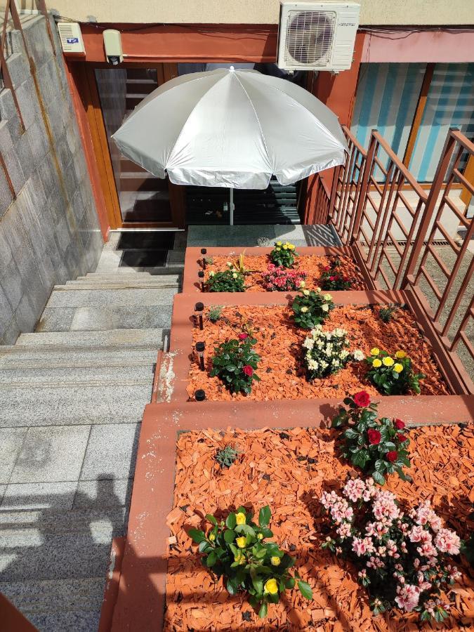Garsoniera Alex Apartment Cluj Napoca Bagian luar foto
