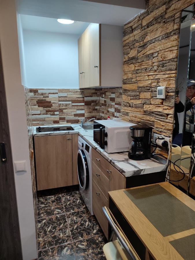 Garsoniera Alex Apartment Cluj Napoca Bagian luar foto